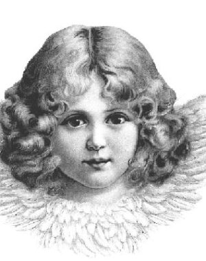 Pacchetto decori natalizi Goodwill assortiti