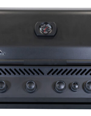 Napoleon Barbecue da Incasso Serie 300 32
