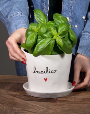 Simple Day Vaso "Basilico" cuore e sottovaso