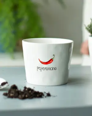 Simple Day Vaso "Peperoncino" con sottovaso